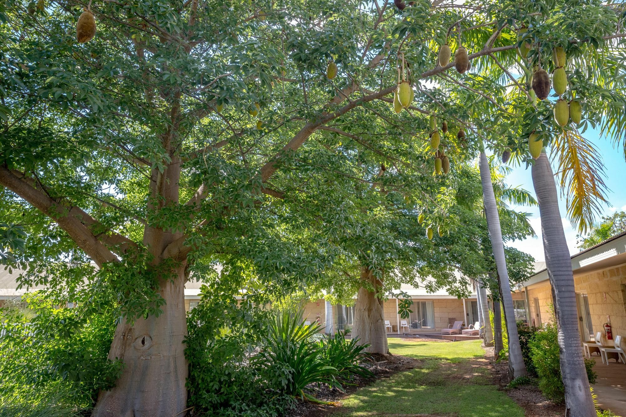 The Kimberley Grande Resort Kununurra Exterior foto